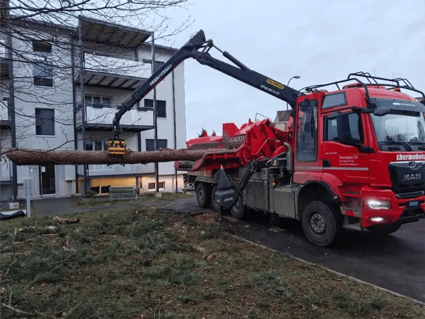 Grue lors d'un abattage