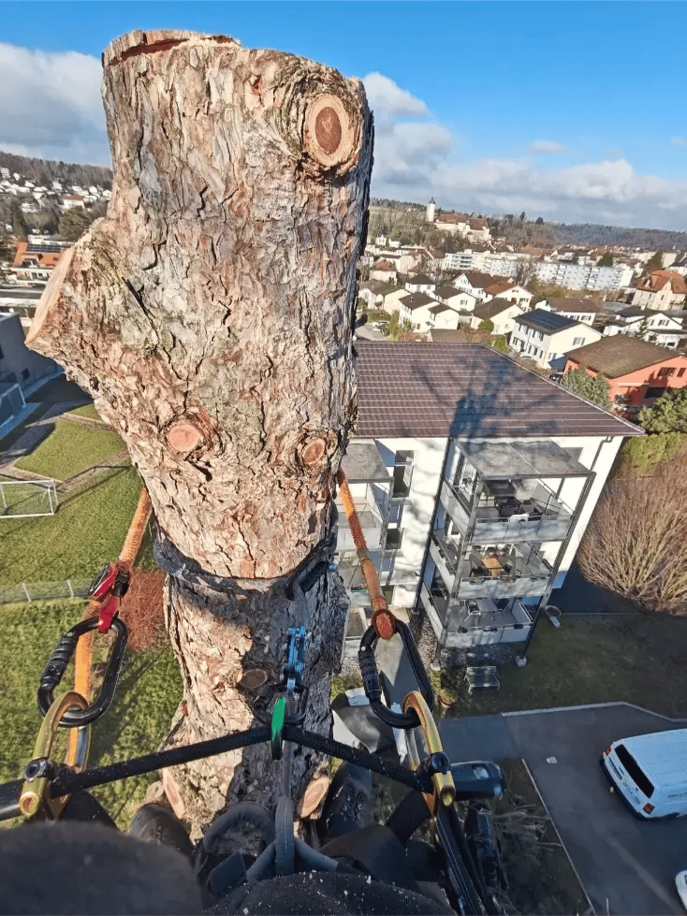 Démontage d'un grand arbre à Porrentruy